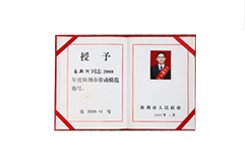 Zhuzhou Municipal Model Worker Certificate